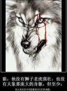 狼性[團隊精神]