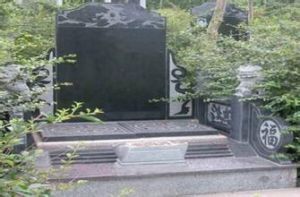 楊治廷烈士墓 楊治廷烈士墓