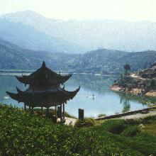 獅峰寺自然風景圖片