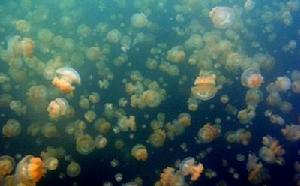 （圖）奧伽姆&middot;特克托湖