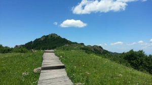 百花山自然風景區