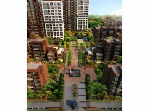 津濱藏錦 津濱藏錦