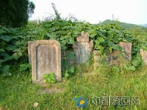 蔡鍔岳母唐氏墓