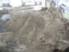 脫硫石膏 脫硫石膏