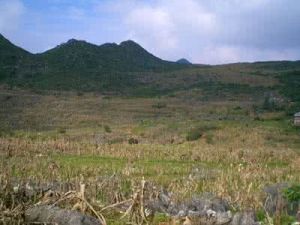 大轉彎村 大轉彎村