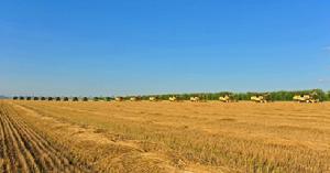 呼倫貝爾農墾集團 呼倫貝爾農墾集團