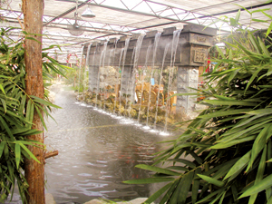 中國協和醫科大學