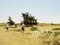 在茫茫的沙灘中行進