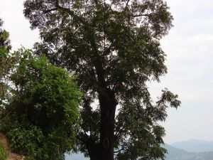 大河底村 大河底村