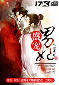 盛寵男妃 盛寵男妃