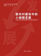 王超[中際國際城市發展研究院院長、著名學者]