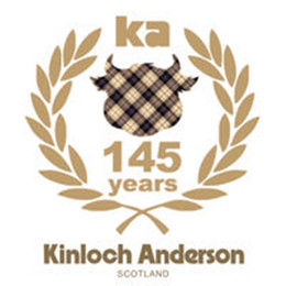 金·安德森 金·安德森