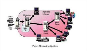 視頻數據流傳播技術 視頻數據流傳播技術