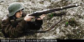 納粹僕從國 納粹僕從國