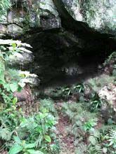 千年山垌 在歐嶺