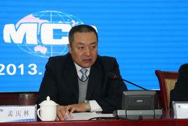 孟慶林[臨沂市華澳電子有限公司總工程師]