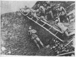 萊陽戰役 萊陽戰役