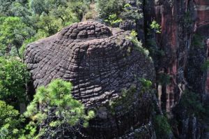 千龜山風景區 千龜山風景區