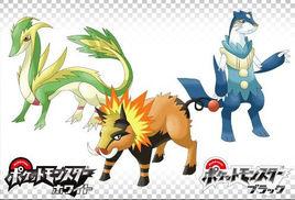 口袋妖怪灰白 口袋妖怪灰白