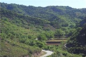 靠山集村 靠山集村