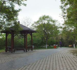 陽光星期八公園 陽光星期八公園