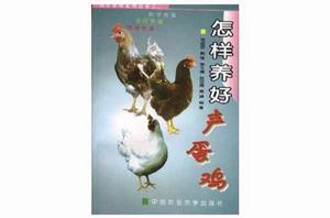 怎樣養好產蛋雞 怎樣養好產蛋雞