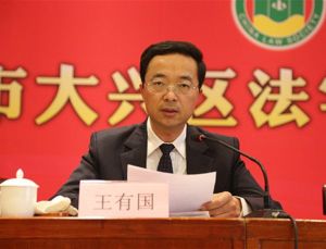 王有國[北京市大興區委副書記、區人民政府代理區長]