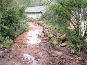 花樹楊自然村 花樹楊自然村