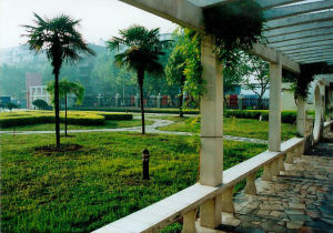 無為縣高溝中心學校