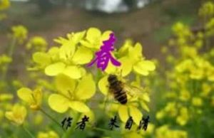 《春》[朱自清散文]