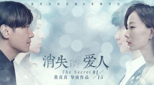 消失的愛人[2016年黃真真執導電影]