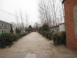 二牛鎮西王村 二牛鎮西王村