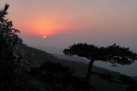 龍上村[福建省三明市尤溪縣新陽鎮龍上村]