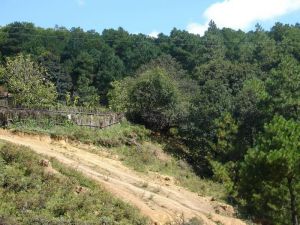 老楊家自然村 老楊家自然村