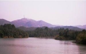 赤壁陸水湖國家濕地公園