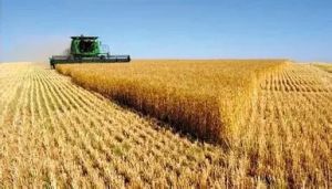 農業信息化 農業信息化