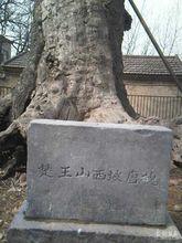 千佛寺[江蘇銅山境內寺院]