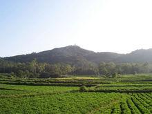 泉州文筆山森林公園