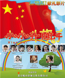 小小升旗手 小小升旗手