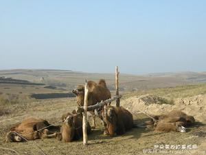 神奇美妙的掌柜窯風景
