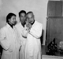 1953年戴芳瀾先生和鄭儒永等在標本室看標本