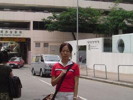 楊歡文集 楊歡文集