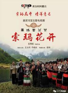 索瑪花開[2017王偉民執導電視劇]