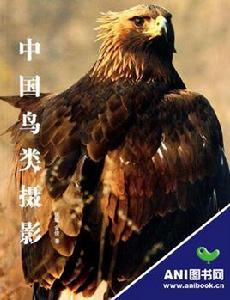 中國鳥類攝影 中國鳥類攝影