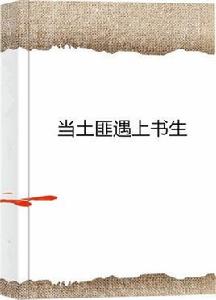 當土匪遇上書生 當土匪遇上書生