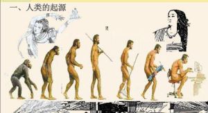 人類的起源