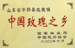 中國玫瑰之鄉 平陰玫瑰