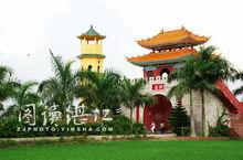 新店村[廣東吳川市黃坡鎮下轄村]