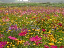 橫道河子鎮[隸屬遼寧省鐵嶺縣]