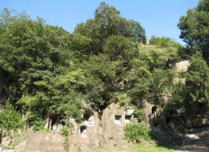 古瓷窯址 古瓷窯址